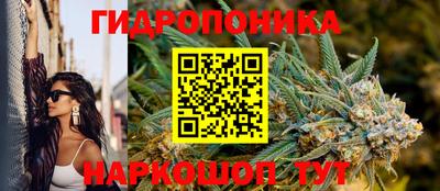 стафф Рыбинск