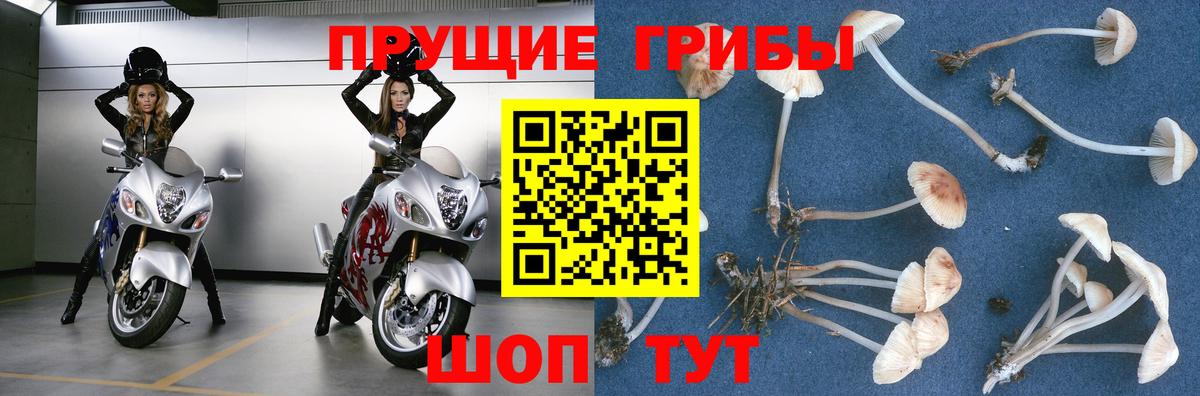 Псилоцибиновые грибы Magic Shrooms Орск